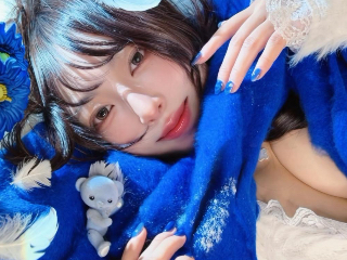 羽川つばさ／のプロフィール画像